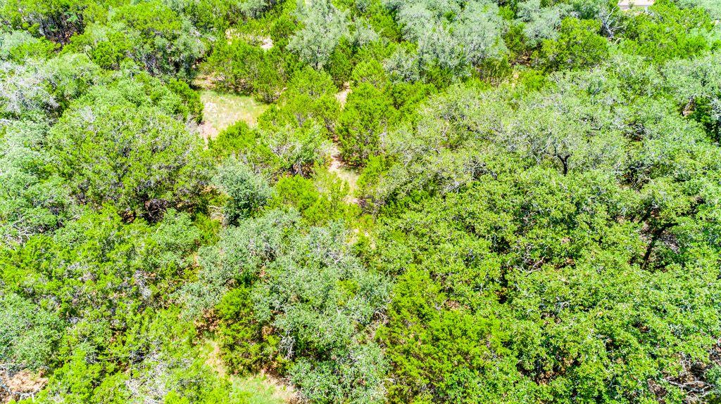 239 George Strait, Canyon Lake, TX 78133