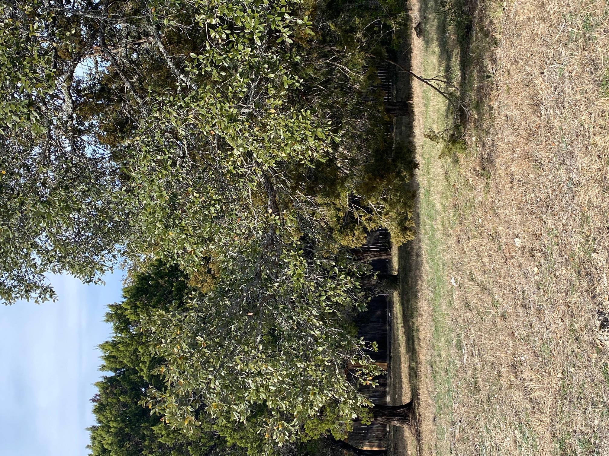 212 Cactus Corner, Horseshoe Bay, TX 78657