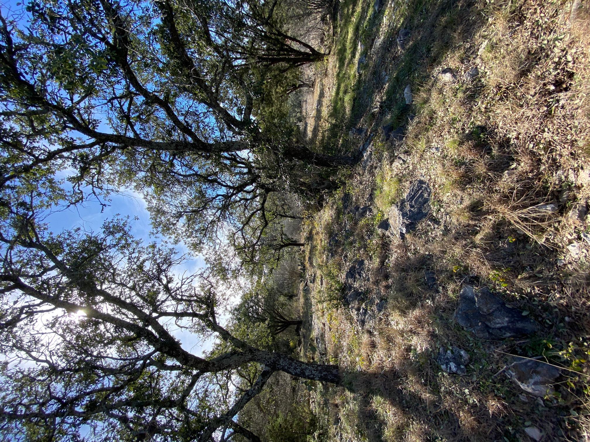 Lt 45009 Scarlet Sun, Horseshoe Bay, TX 78657