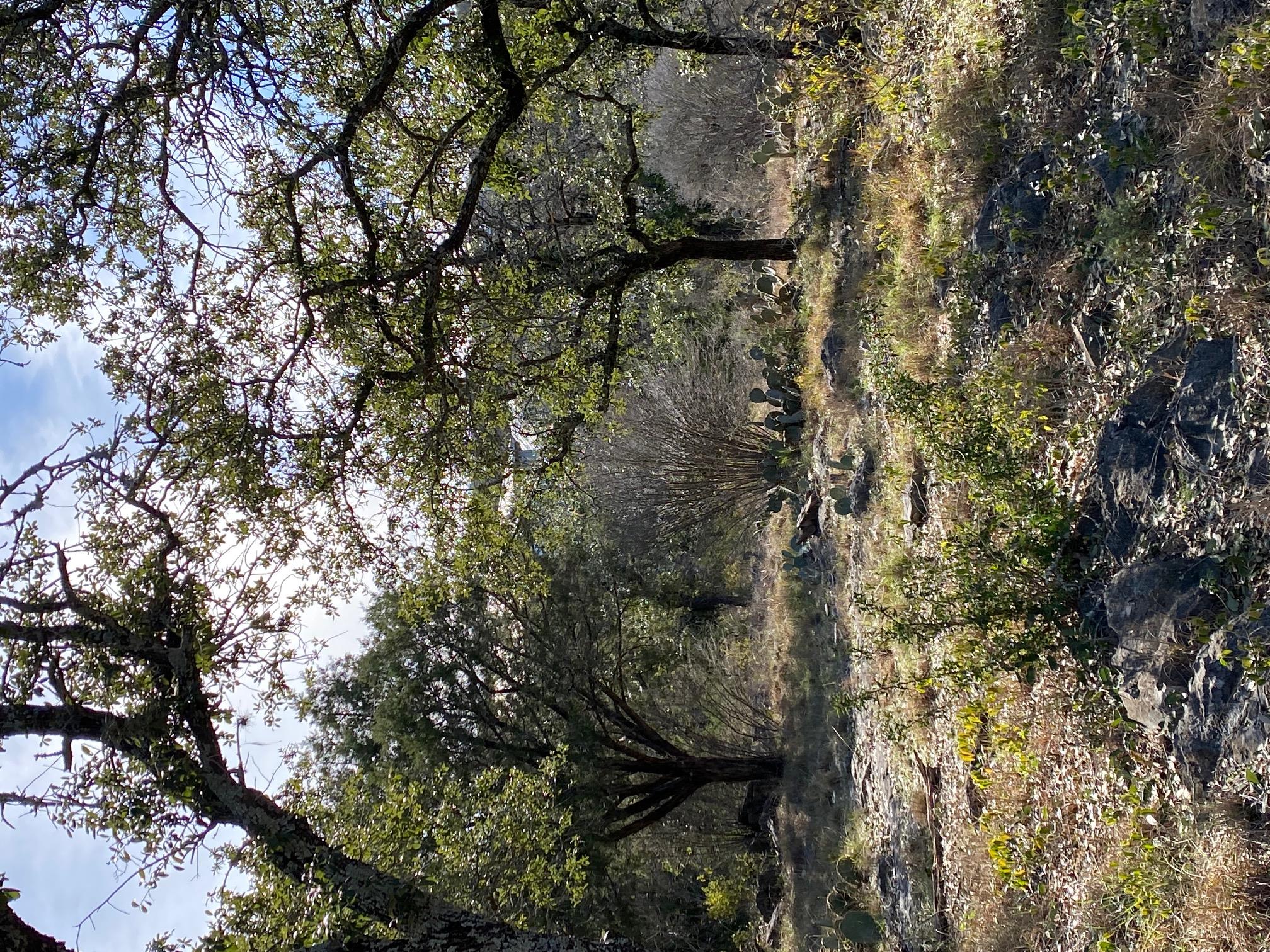 Lt 45009 Scarlet Sun, Horseshoe Bay, TX 78657