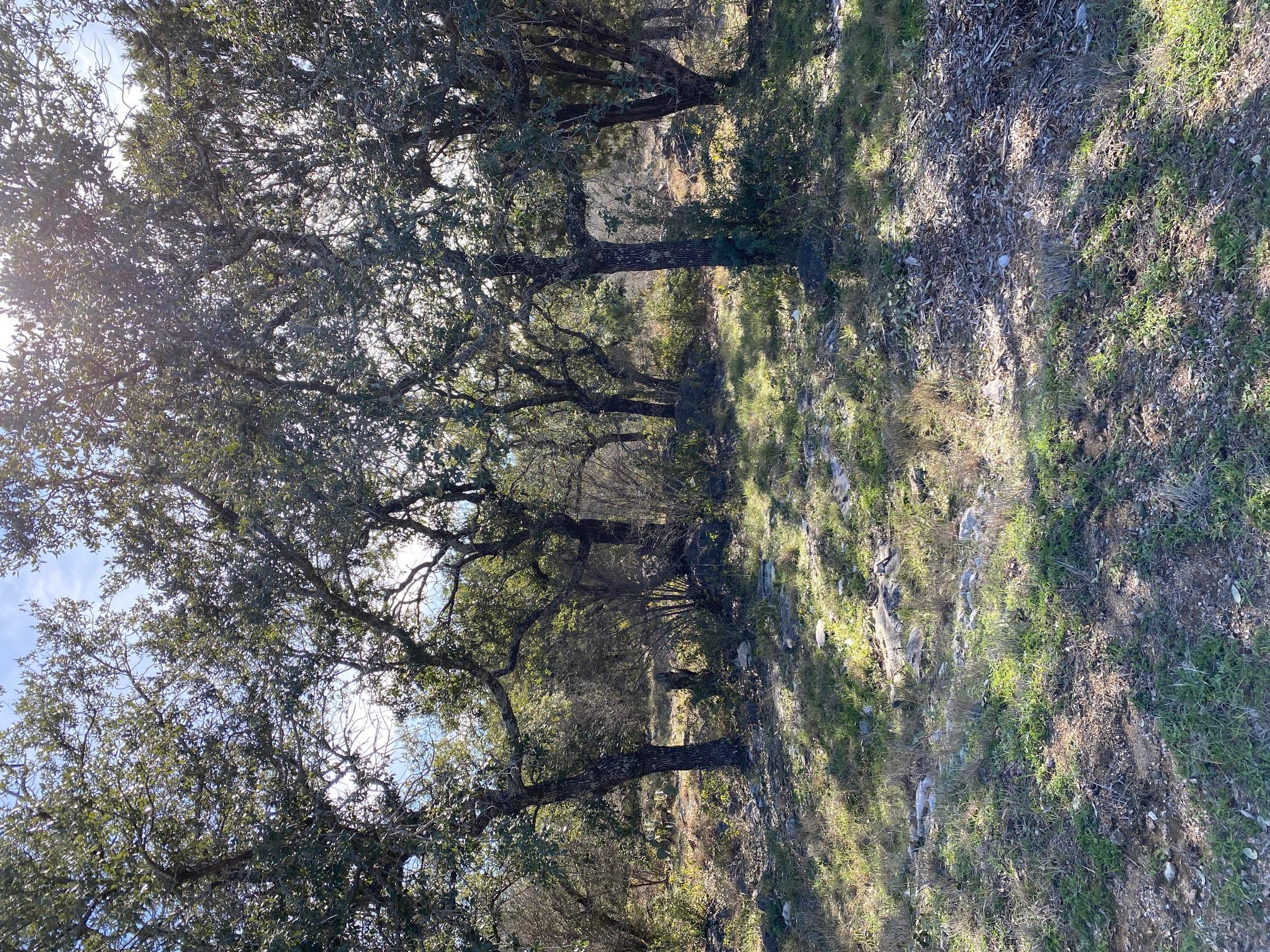 Lt 45009 Scarlet Sun, Horseshoe Bay, TX 78657