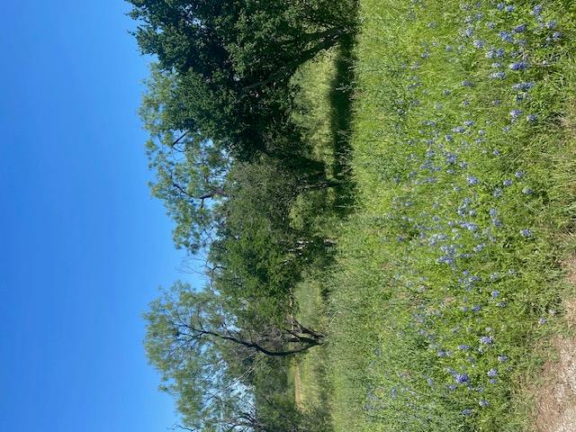 313 Sweet Grass, Horseshoe Bay, TX 78657