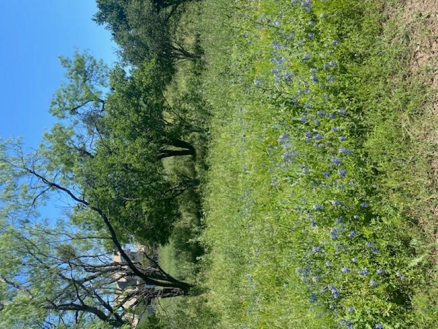 313 Sweet Grass, Horseshoe Bay, TX 78657