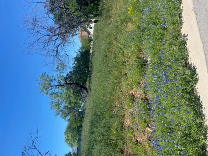 313 Sweet Grass, Horseshoe Bay, TX 78657