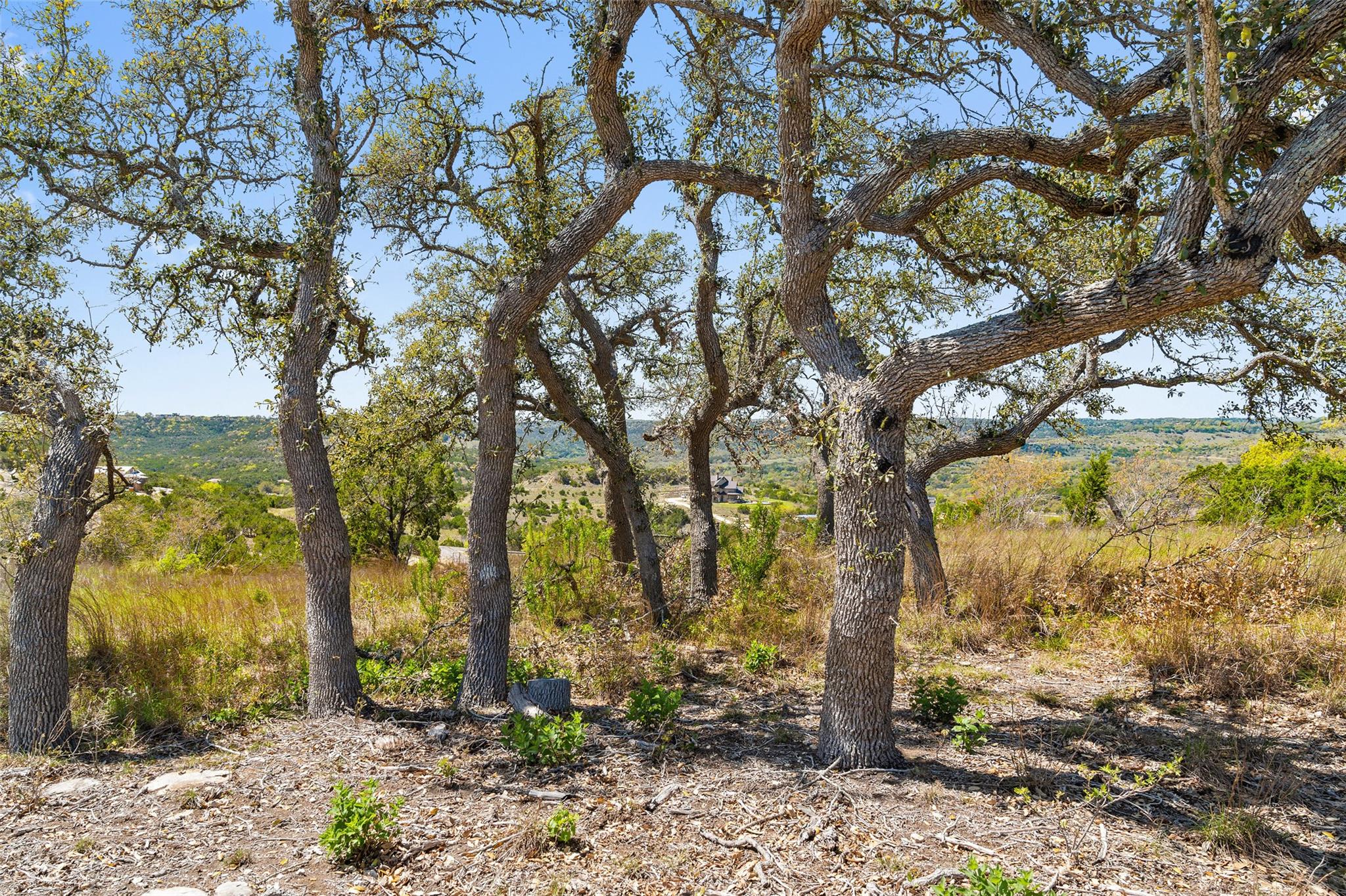 628 Antelope Cv, Blanco, TX 78606