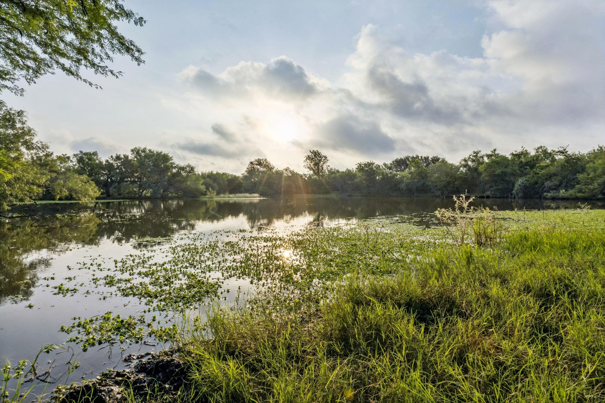 9611 Wilke Rd, Kingsbury, TX 78638