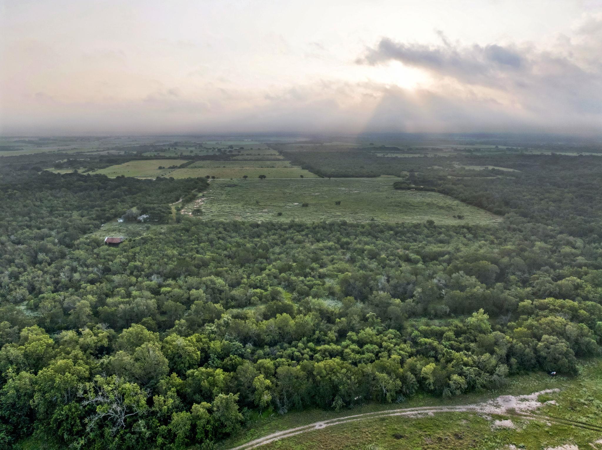 9611 Wilke Rd, Kingsbury, TX 78638