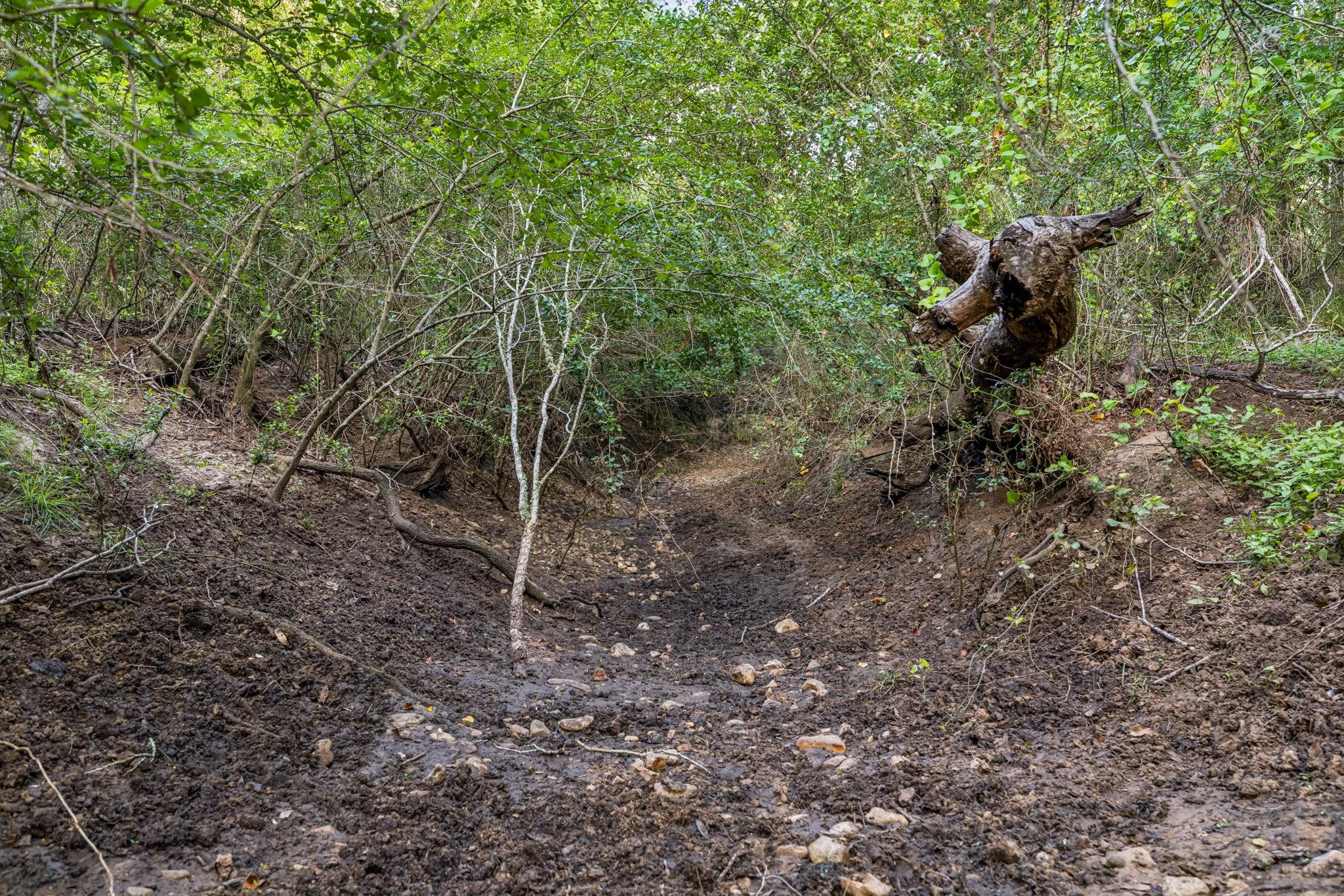 9611 Wilke Rd, Kingsbury, TX 78638