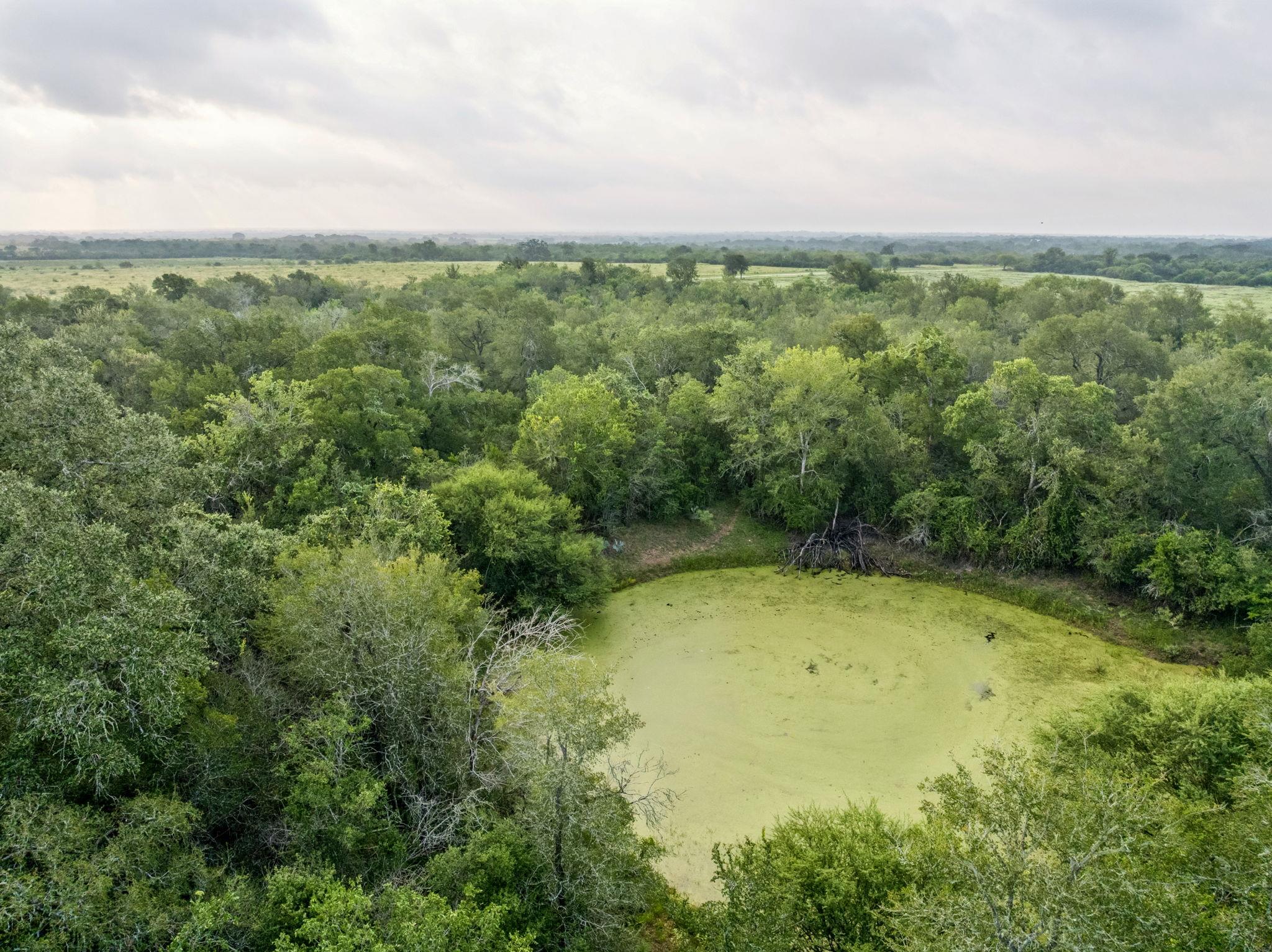 9611 Wilke Rd, Kingsbury, TX 78638