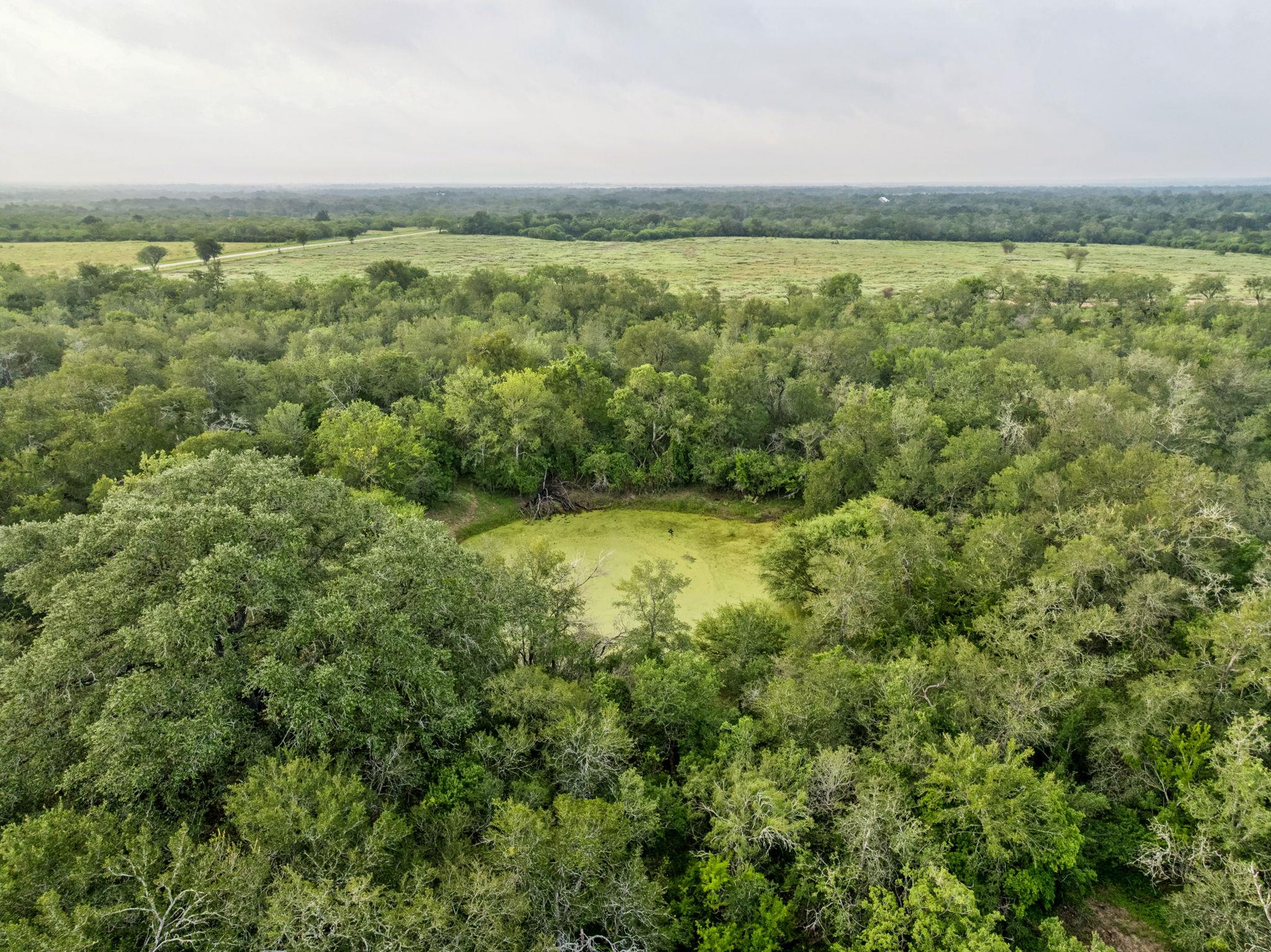 9611 Wilke Rd, Kingsbury, TX 78638