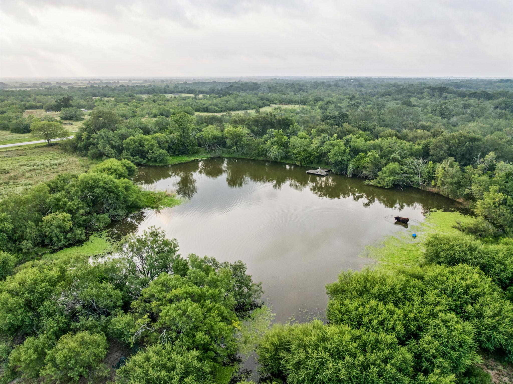 9611 Wilke Rd, Kingsbury, TX 78638