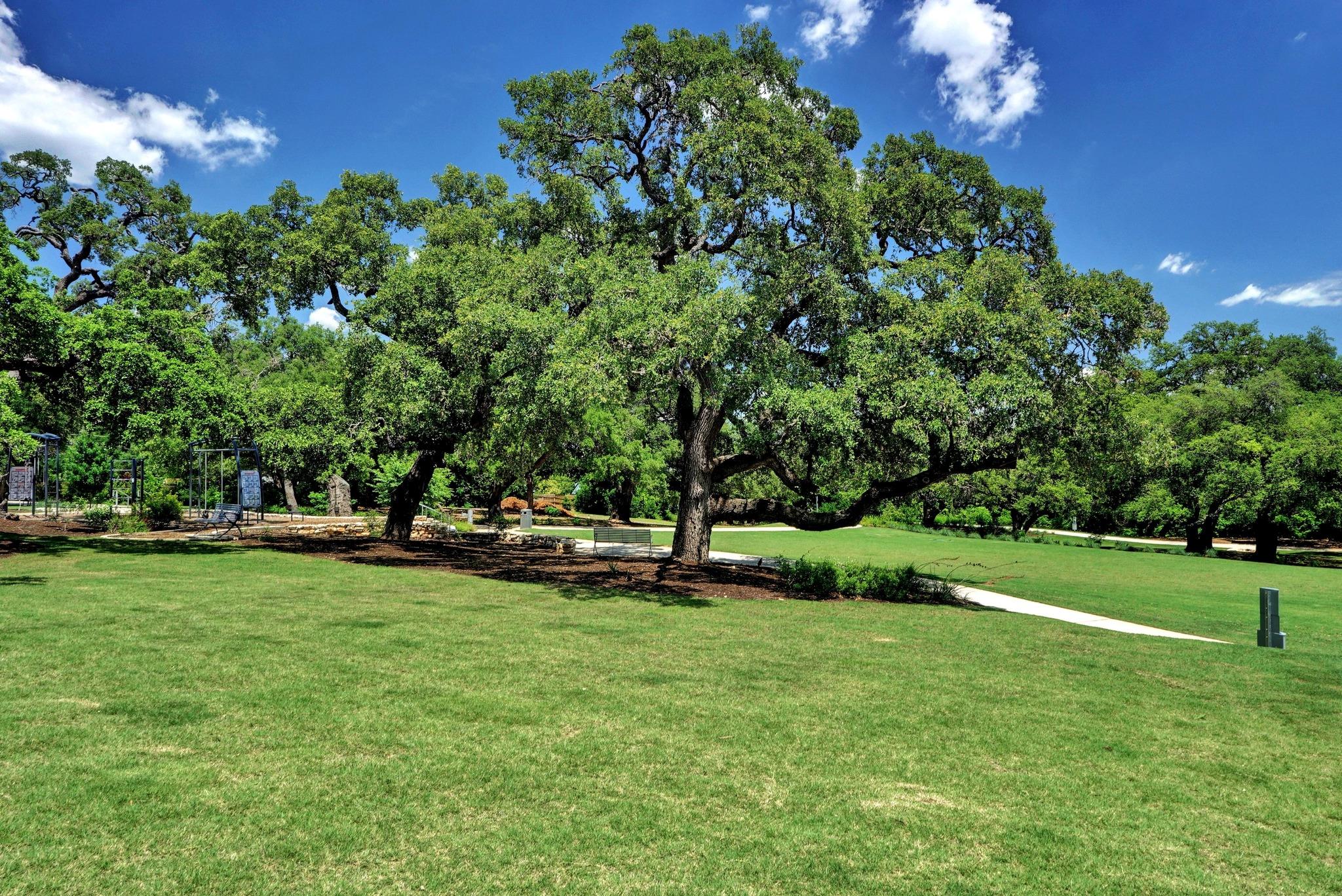 1903 40th St, Austin, TX 78731