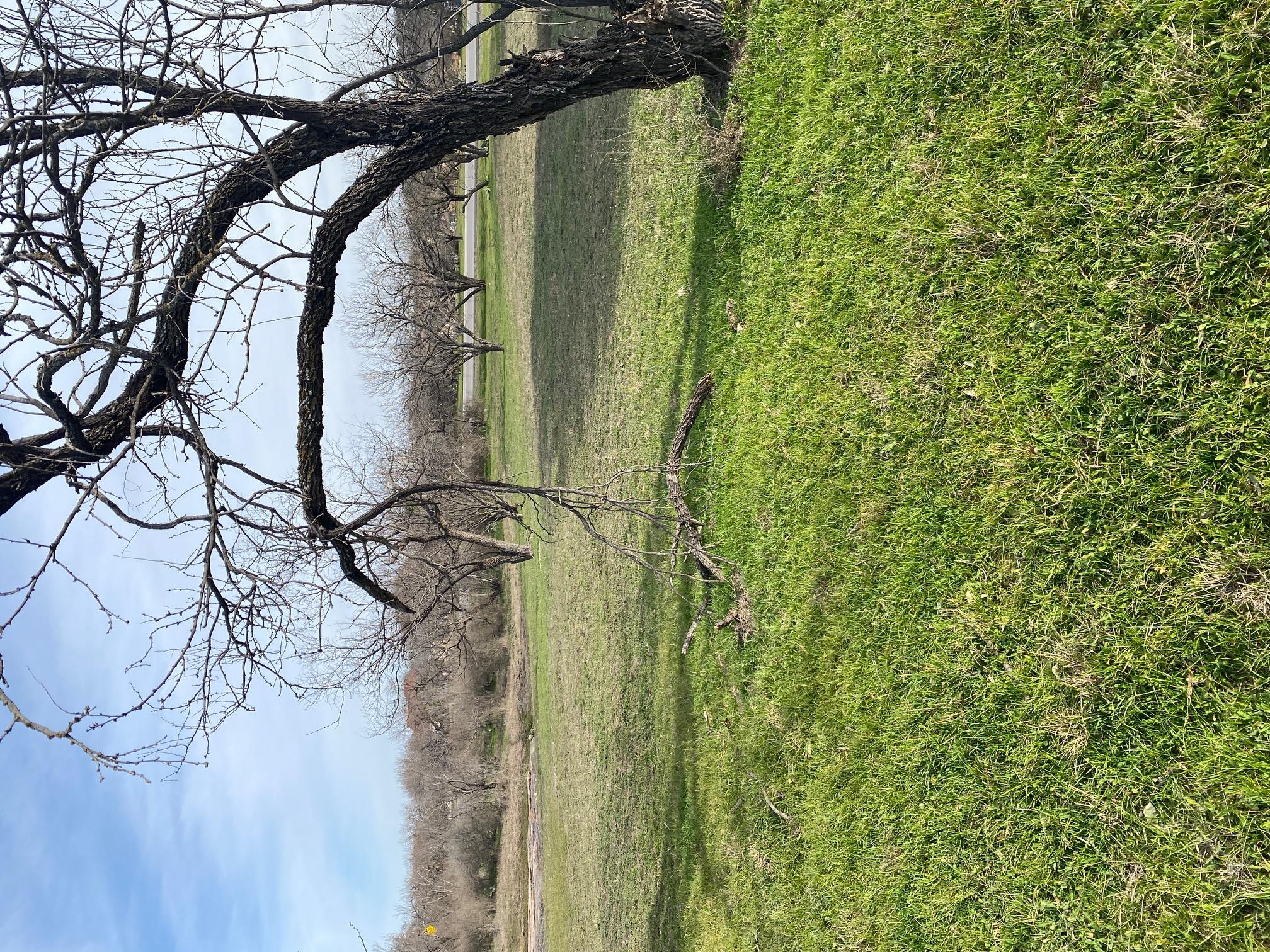 9013 Springfield, Horseshoe Bay, TX 78657