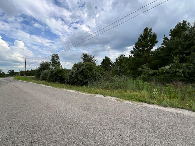 TBD County Rd., Lot 20-C Rd, Bastrop, TX 78602