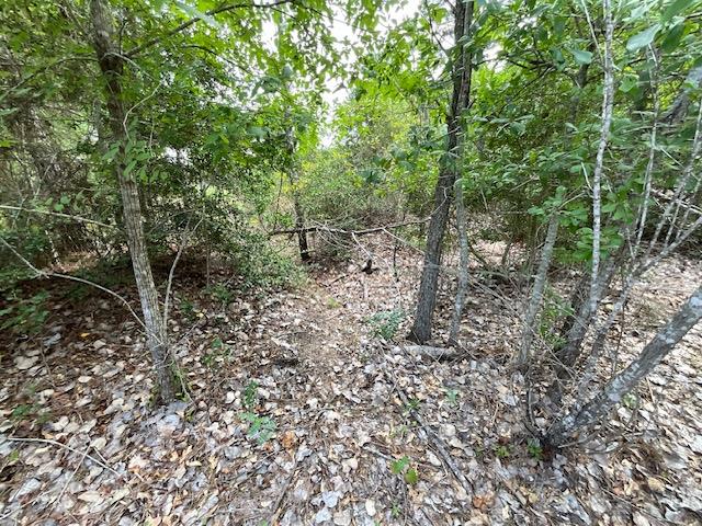 TBD County Rd., Lot 20-C Rd, Bastrop, TX 78602