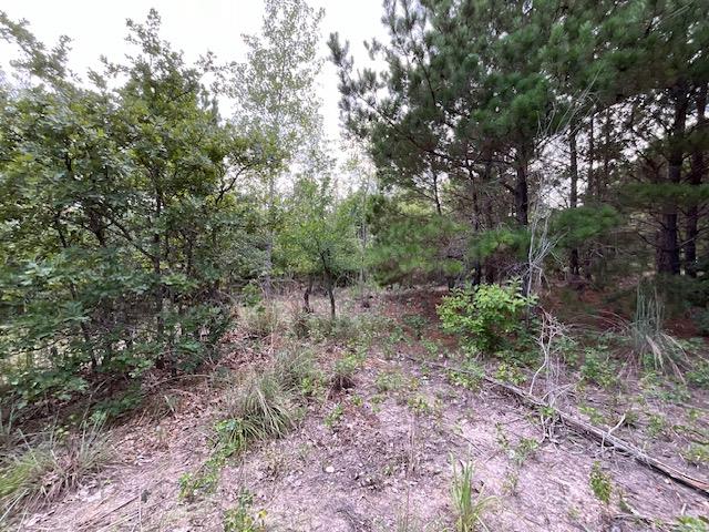 TBD County Rd., Lot 20-C Rd, Bastrop, TX 78602