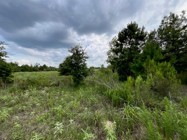 TBD County Rd., Lot 20-C Rd, Bastrop, TX 78602