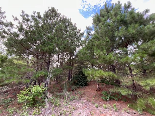 TBD County Rd., Lot 20-C Rd, Bastrop, TX 78602