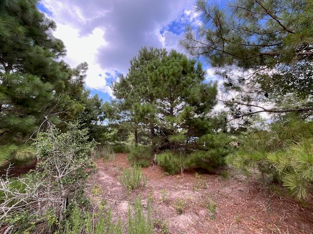 TBD County Rd., Lot 20-C Rd, Bastrop, TX 78602