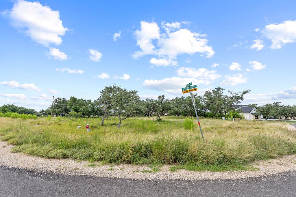 1559 Lake Ridge Blvd, Canyon Lake, TX 78133