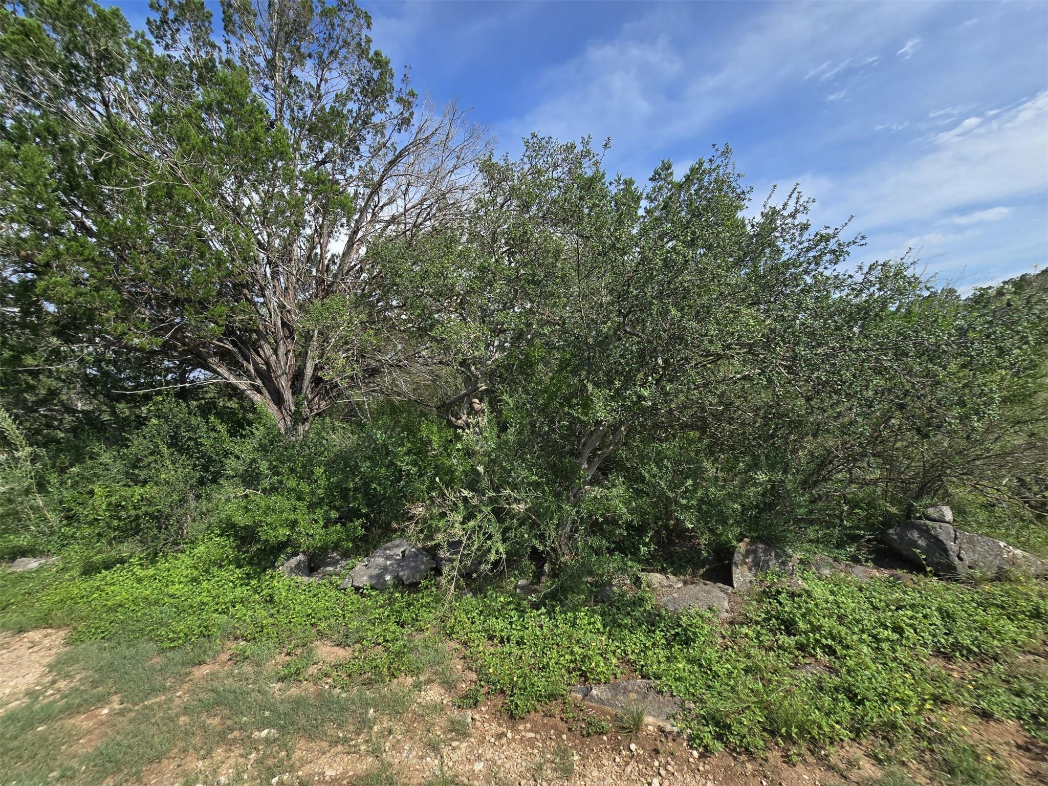 584 Coyote Run, New Braunfels, TX 78132