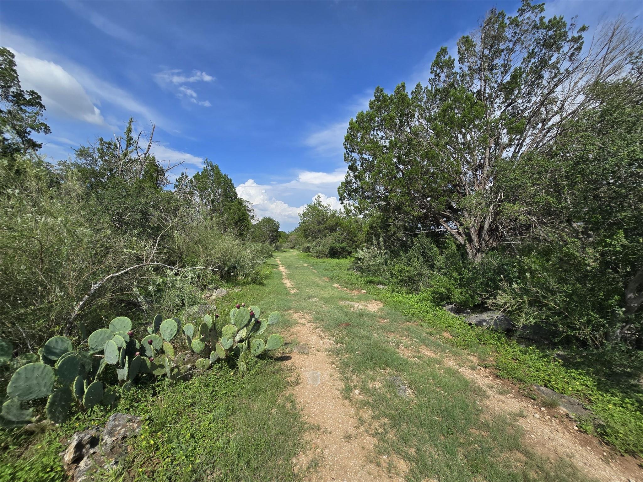 584 Coyote Run, New Braunfels, TX 78132