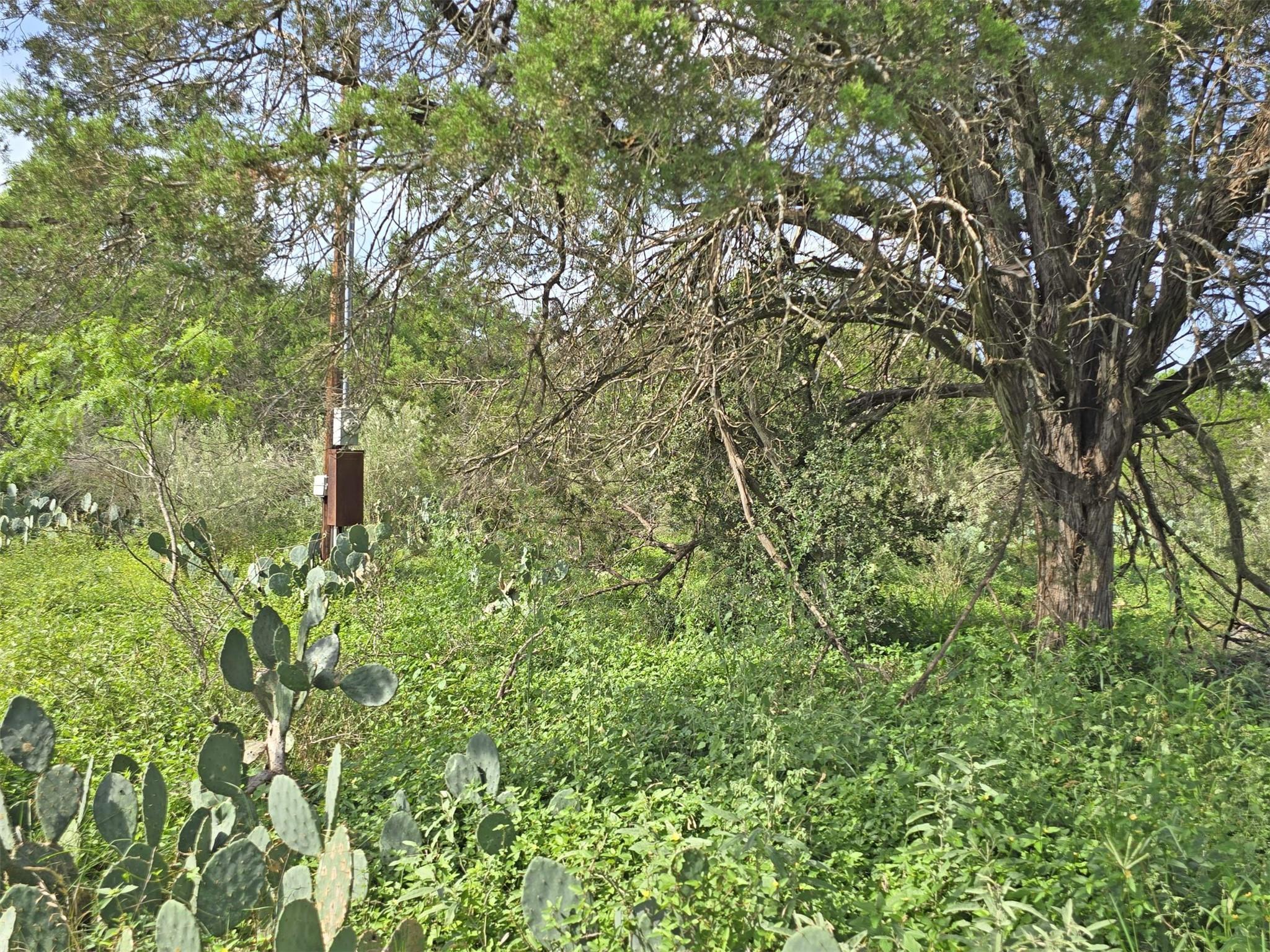 584 Coyote Run, New Braunfels, TX 78132