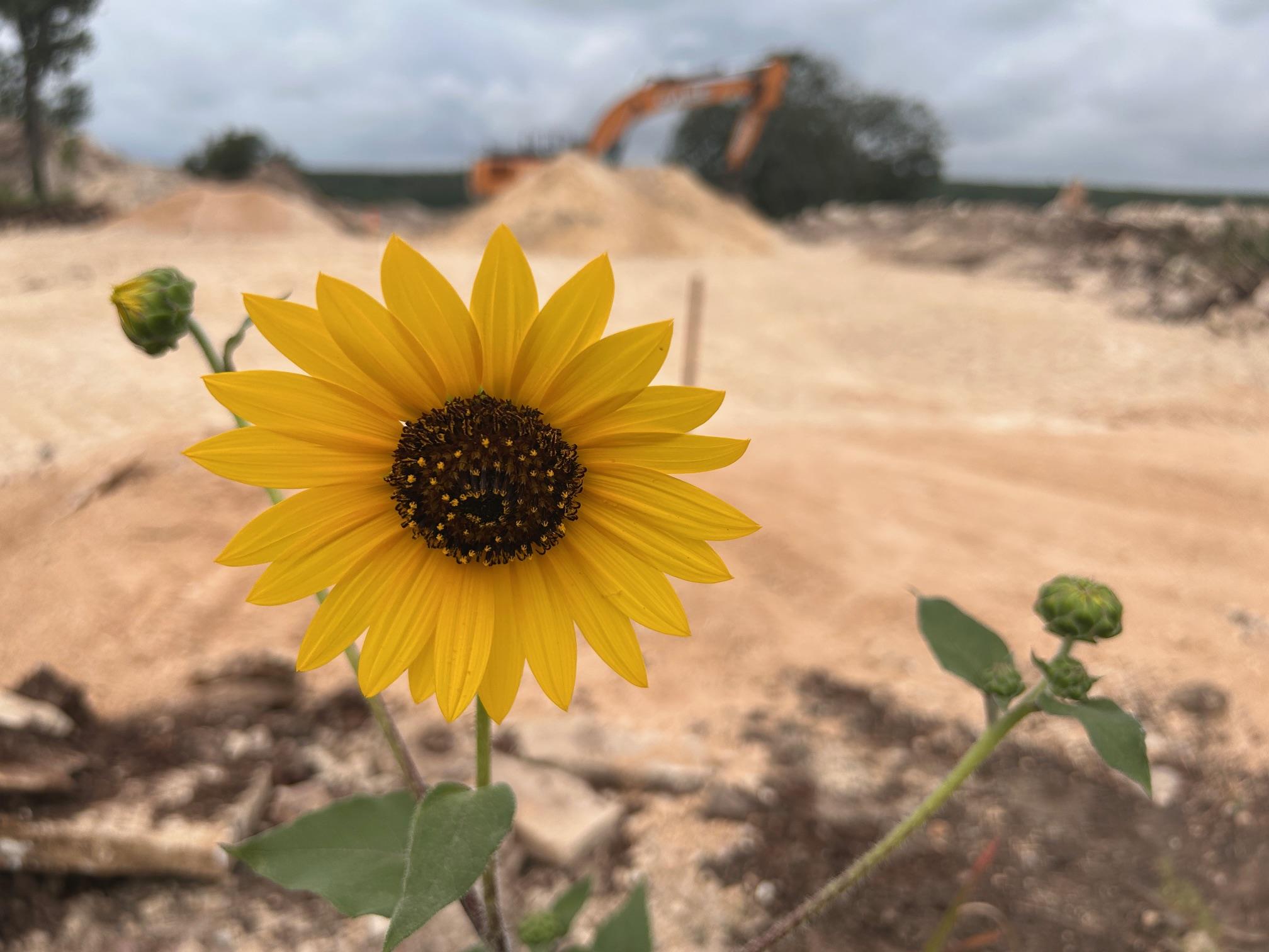 105 Liberty Oaks Blvd, Belton, TX 76513