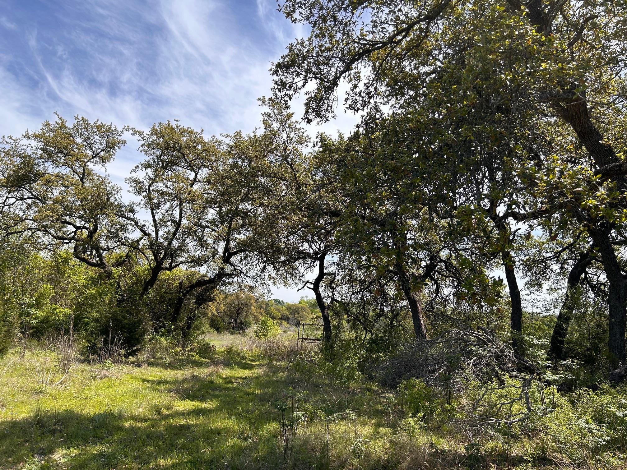 105 Liberty Oaks Blvd, Belton, TX 76513