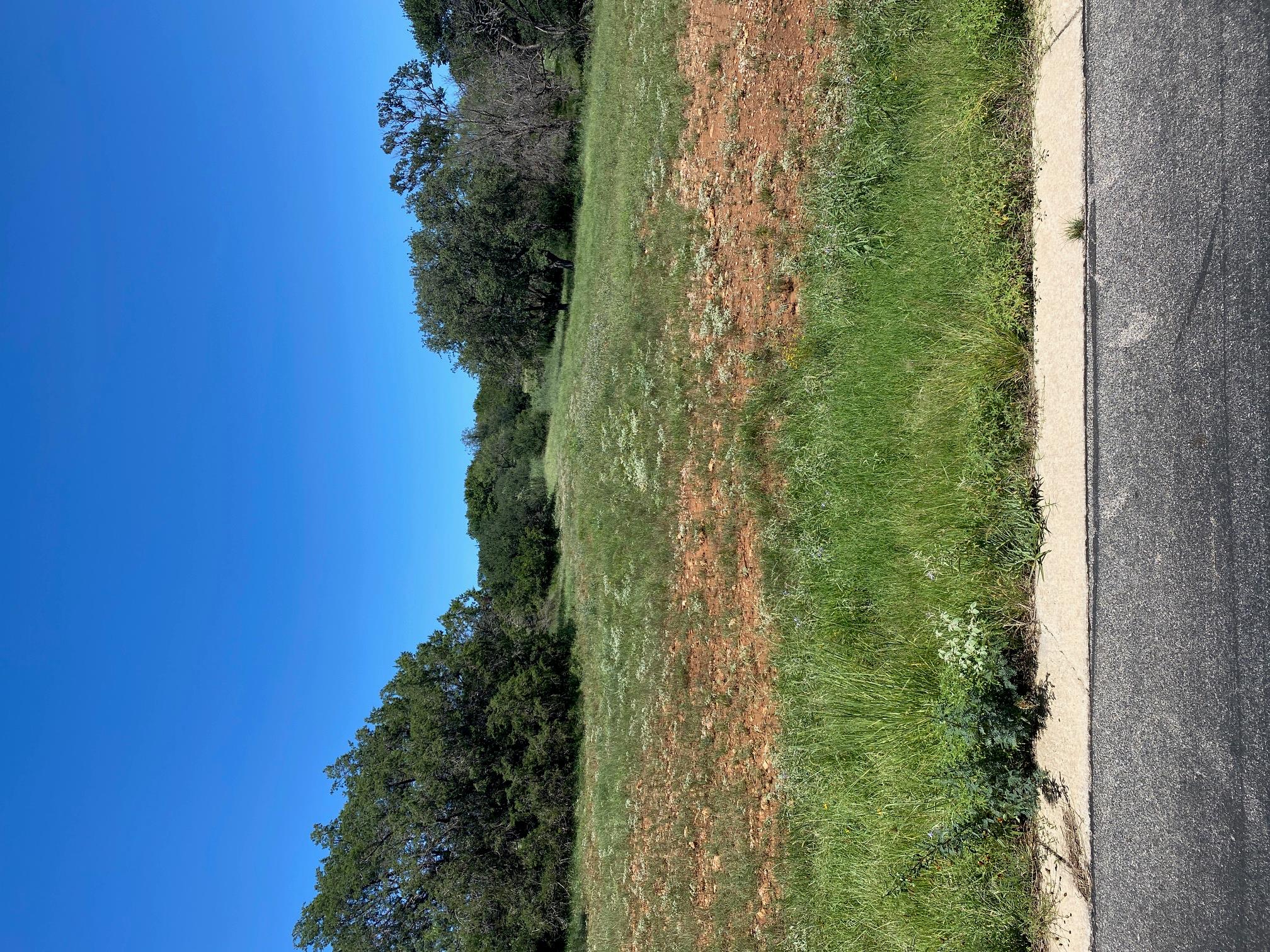 W25058 ApacheTears/White, Horseshoe Bay, TX 78657