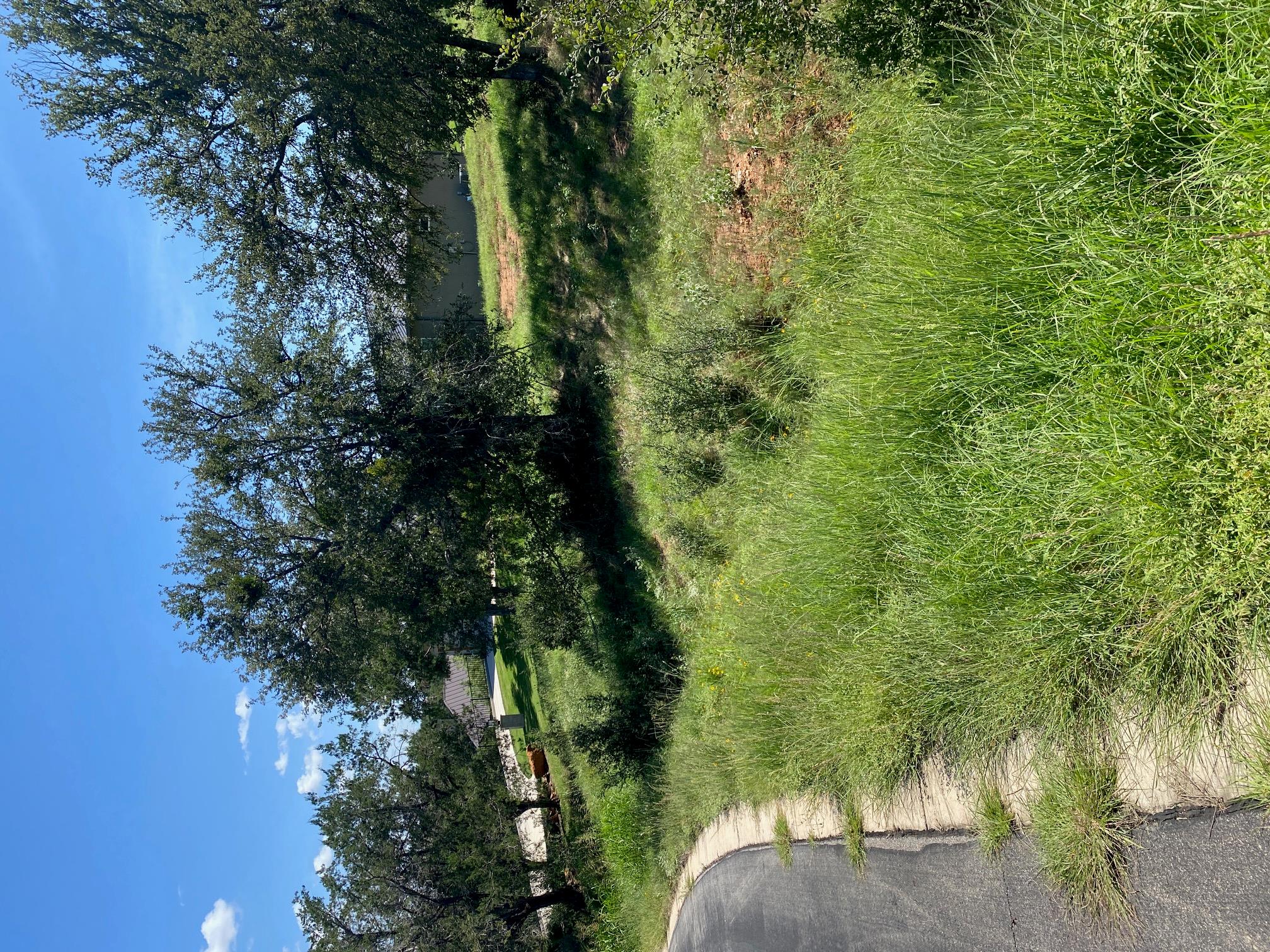 W25065 White Dove / Apache Tears, Horseshoe Bay, TX 78657