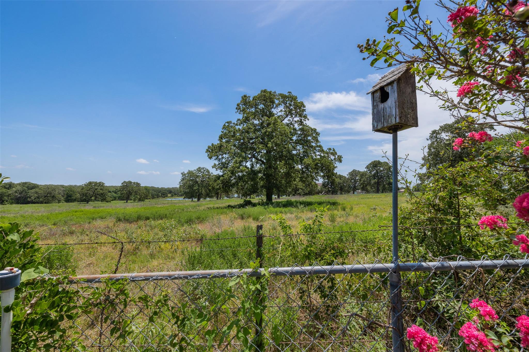 888 Acorn St, Giddings, TX 78942