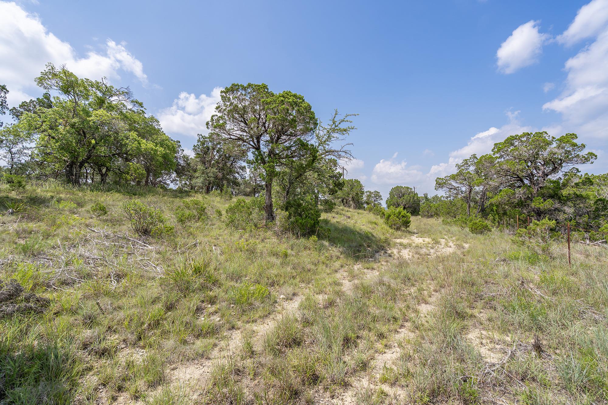 19705 Tyler Trl, Jonestown, TX 78645