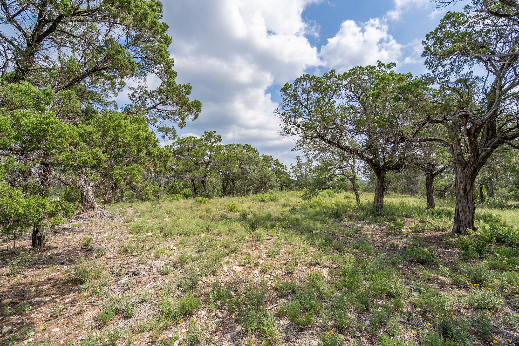 19705 Tyler Trl, Jonestown, TX 78645