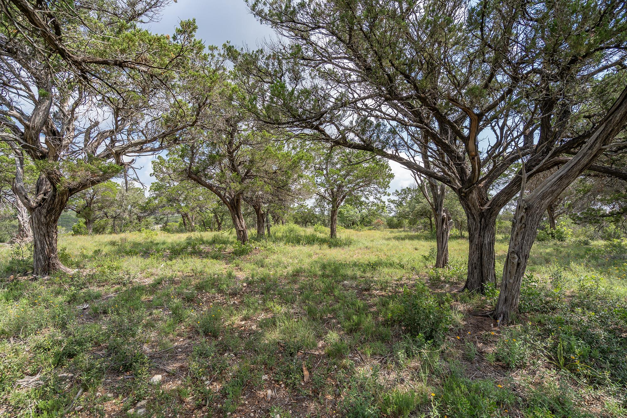 19705 Tyler Trl, Jonestown, TX 78645