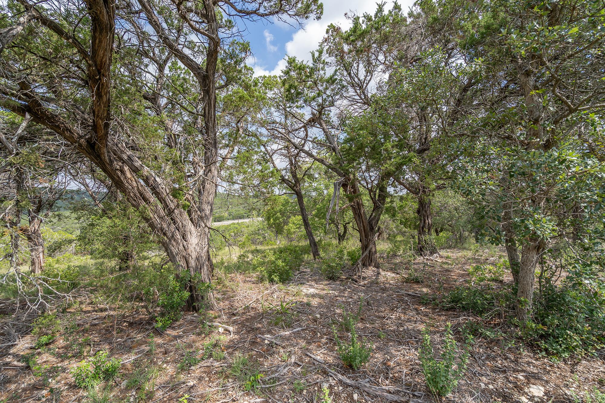 19705 Tyler Trl, Jonestown, TX 78645