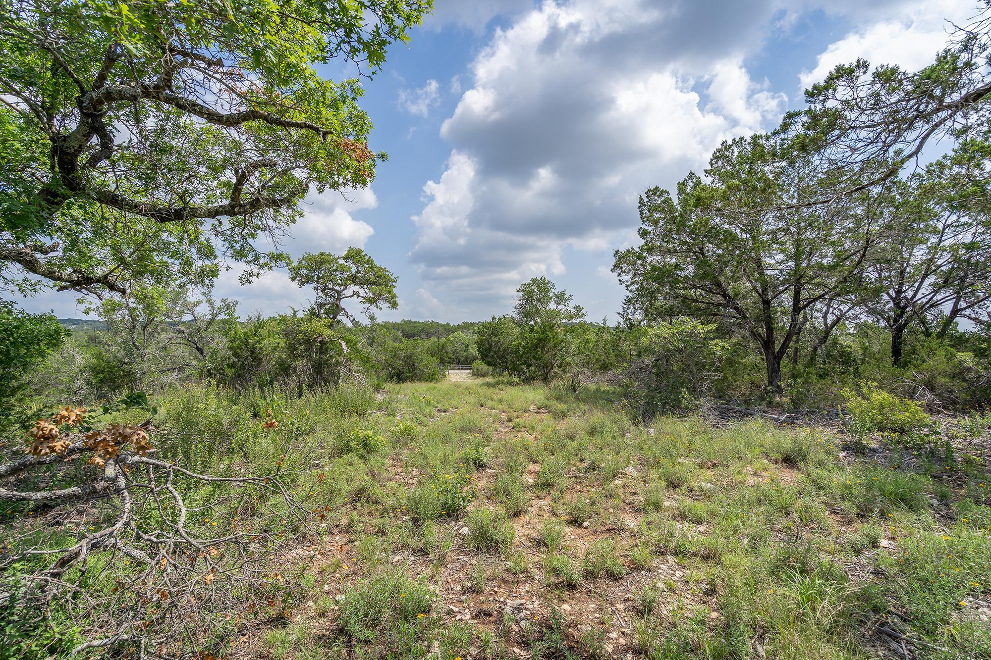 19705 Tyler Trl, Jonestown, TX 78645
