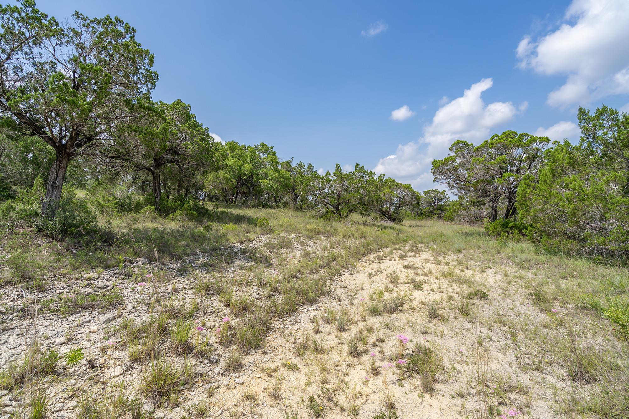 19705 Tyler Trl, Jonestown, TX 78645