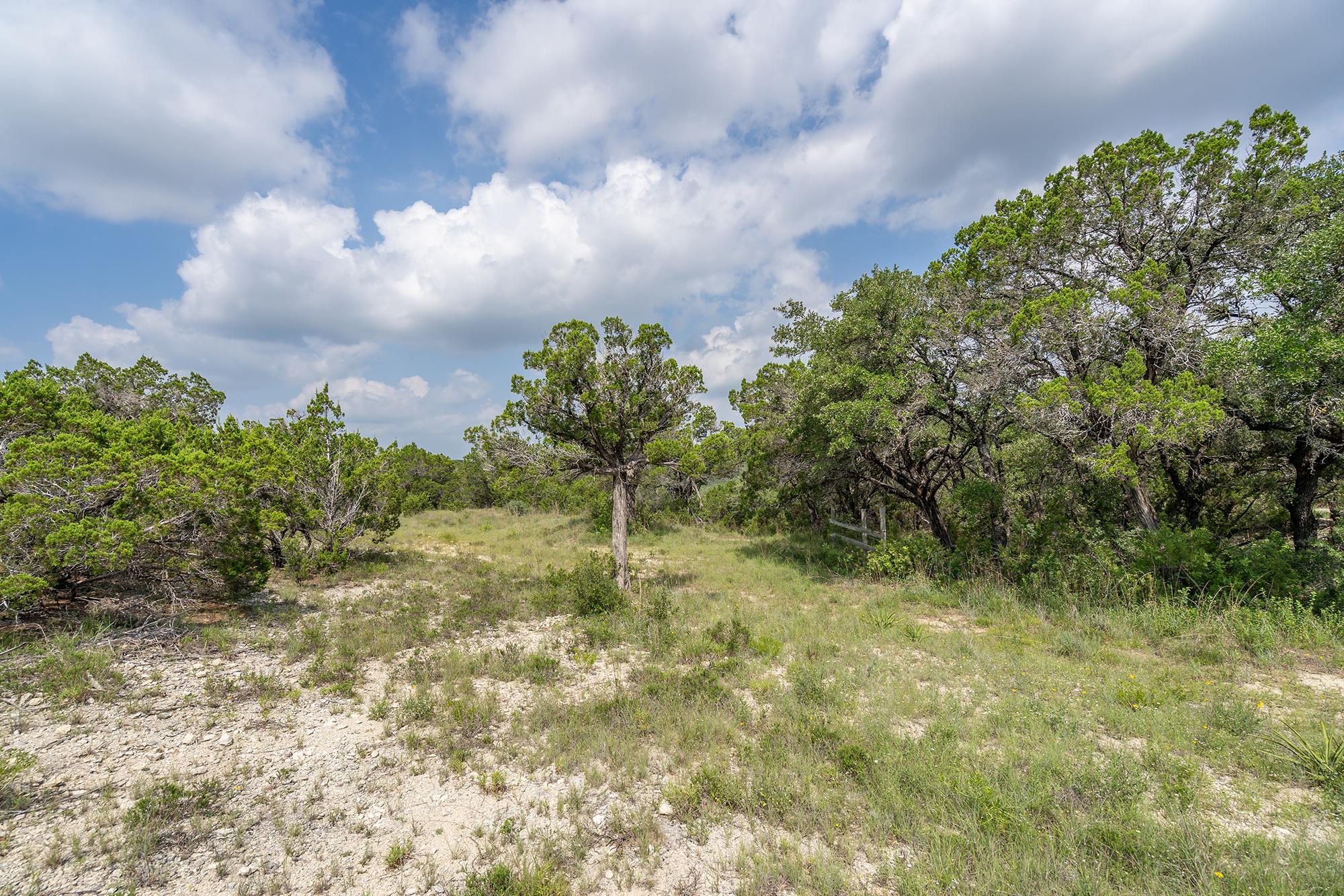 19705 Tyler Trl, Jonestown, TX 78645