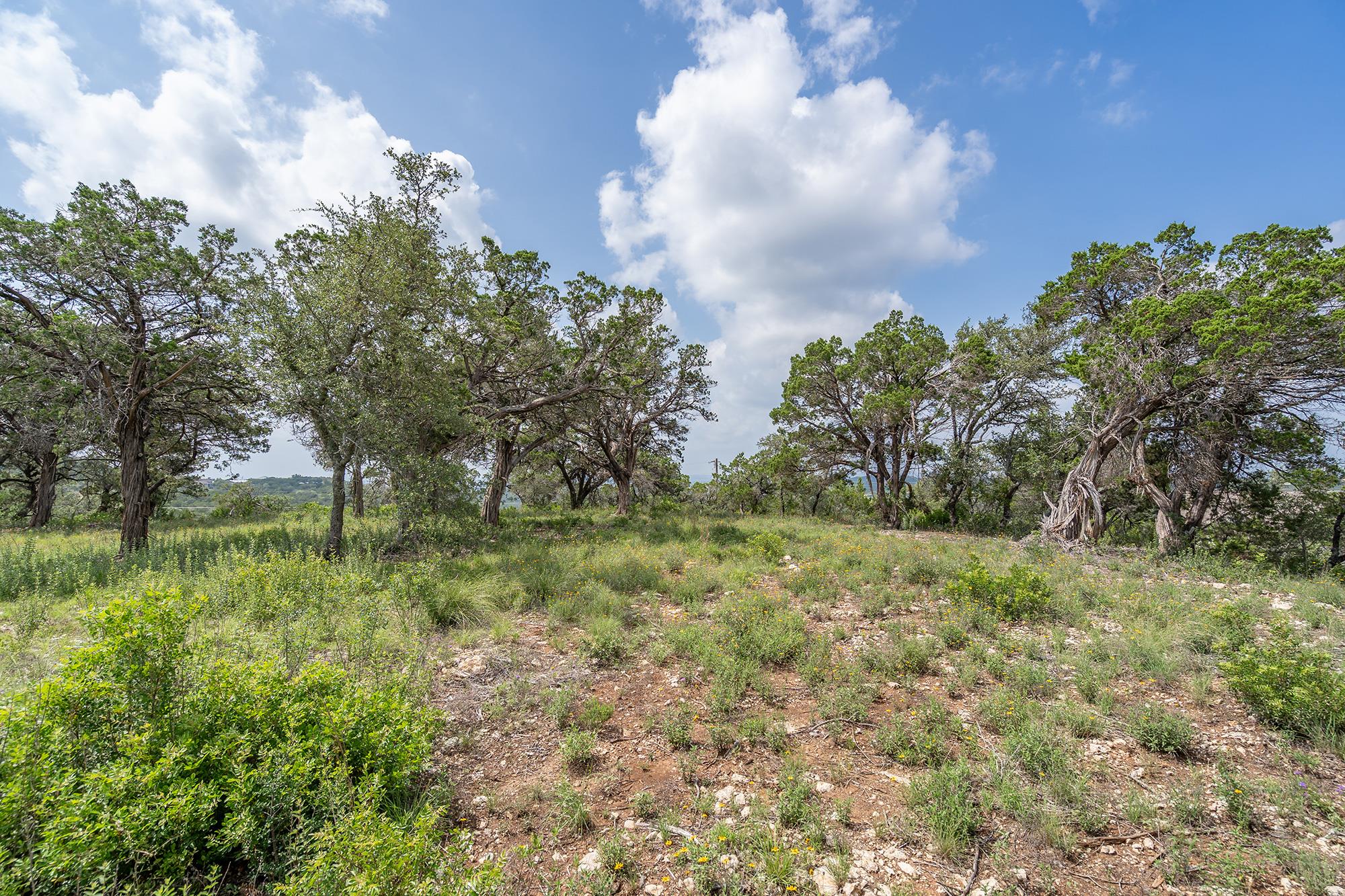 19705 Tyler Trl, Jonestown, TX 78645