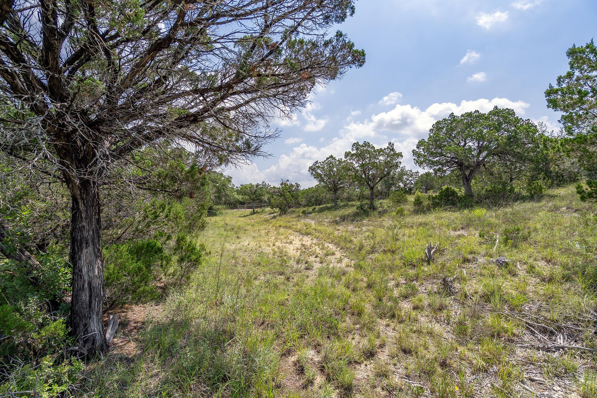 19705 Tyler Trl, Jonestown, TX 78645