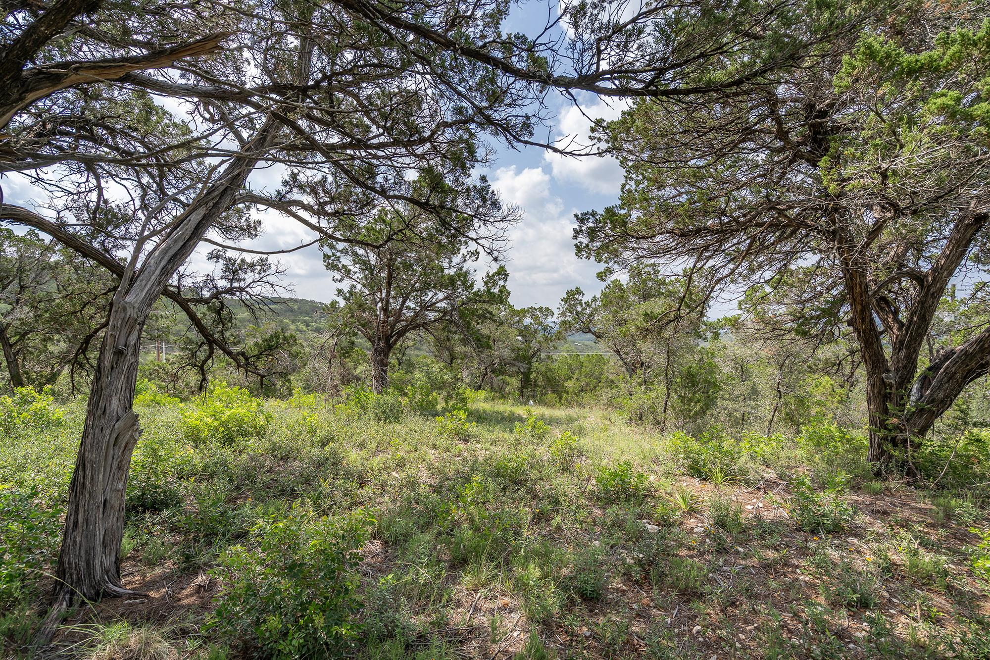 19705 Tyler Trl, Jonestown, TX 78645