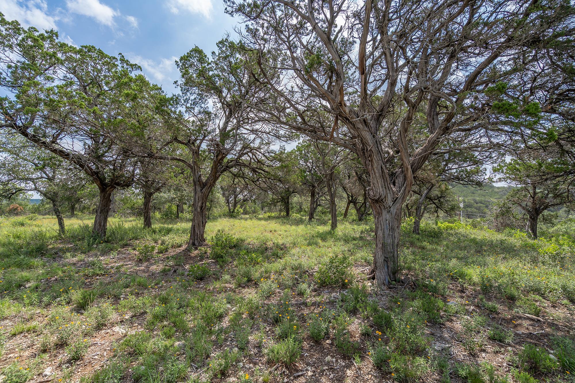 19705 Tyler Trl, Jonestown, TX 78645