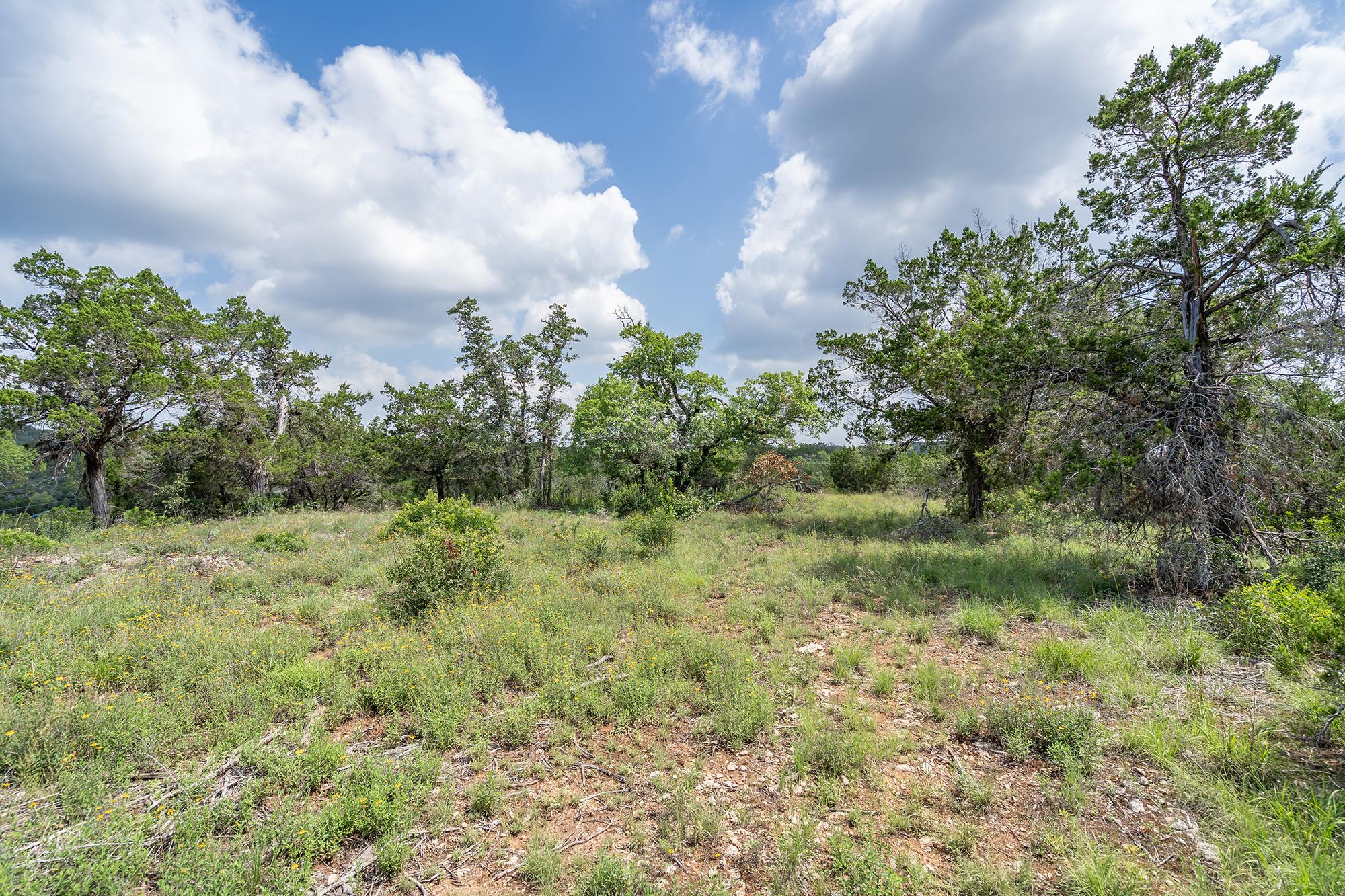 19705 Tyler Trl, Jonestown, TX 78645