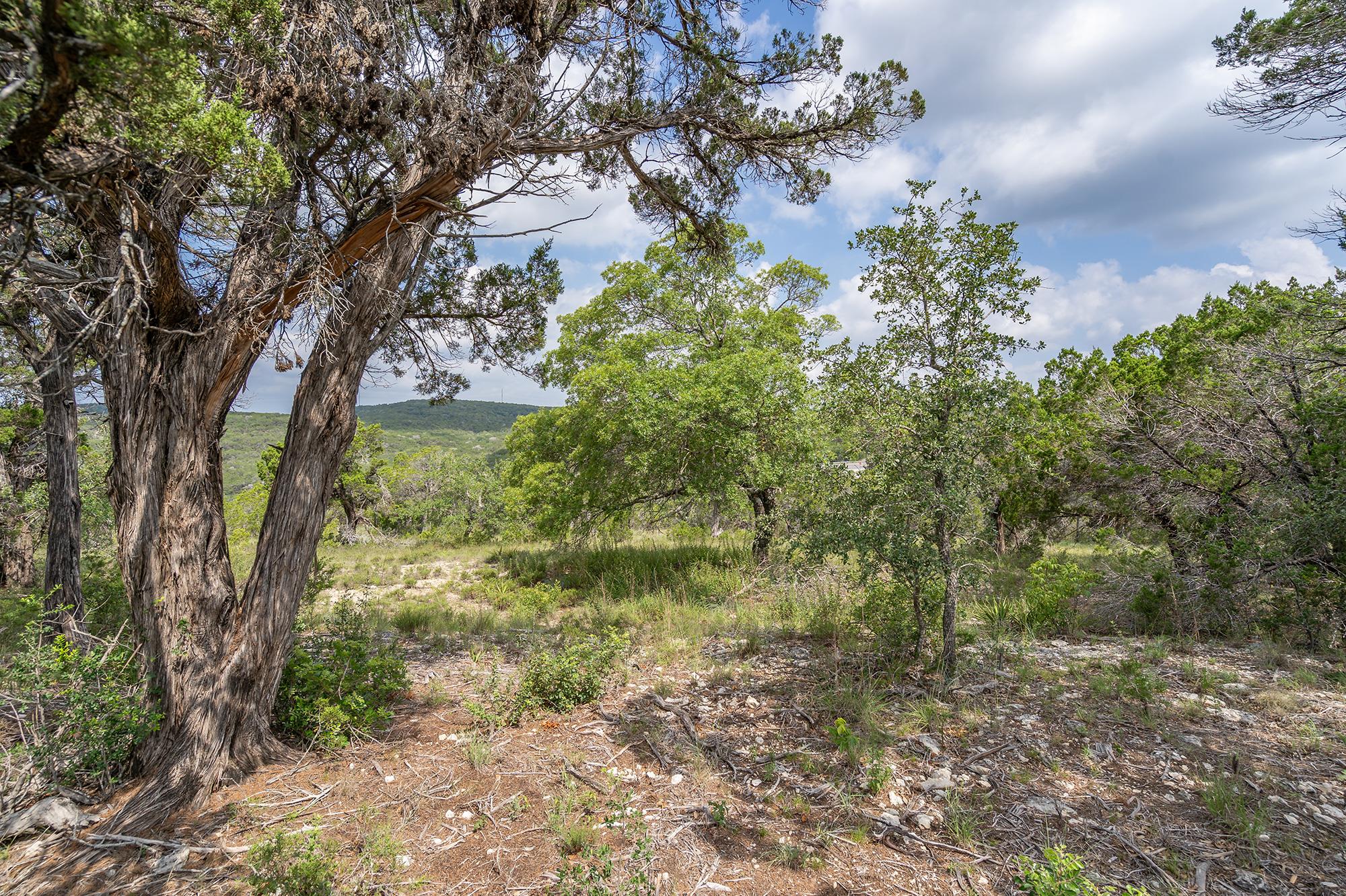 19705 Tyler Trl, Jonestown, TX 78645