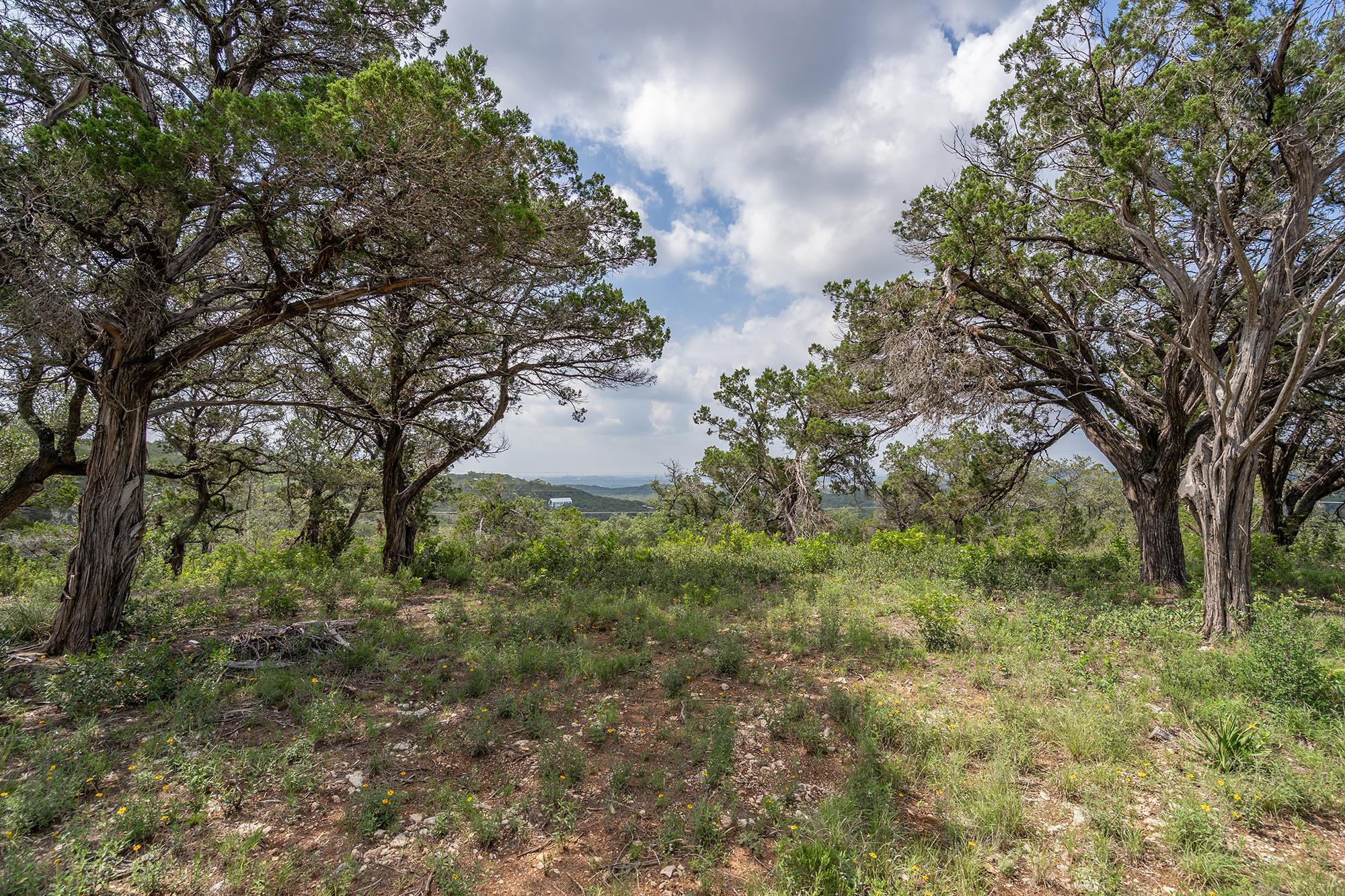 19705 Tyler Trl, Jonestown, TX 78645