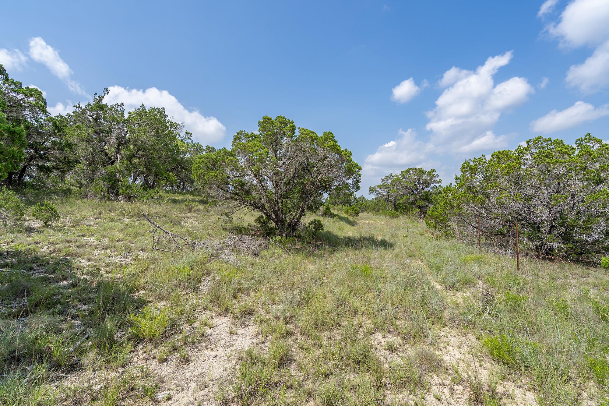 19705 Tyler Trl, Jonestown, TX 78645