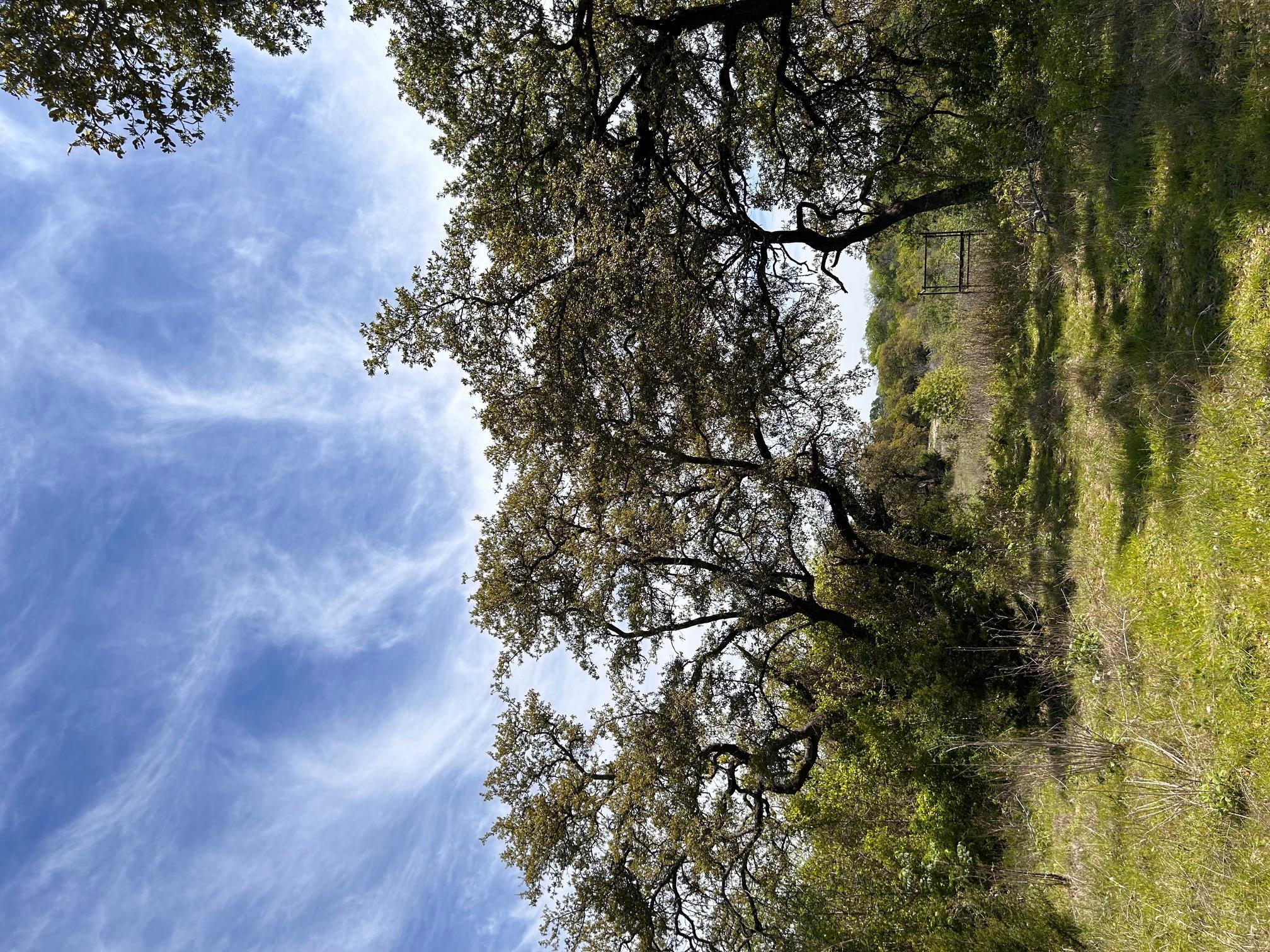 8202 Sparta Rd, Belton, TX 76513