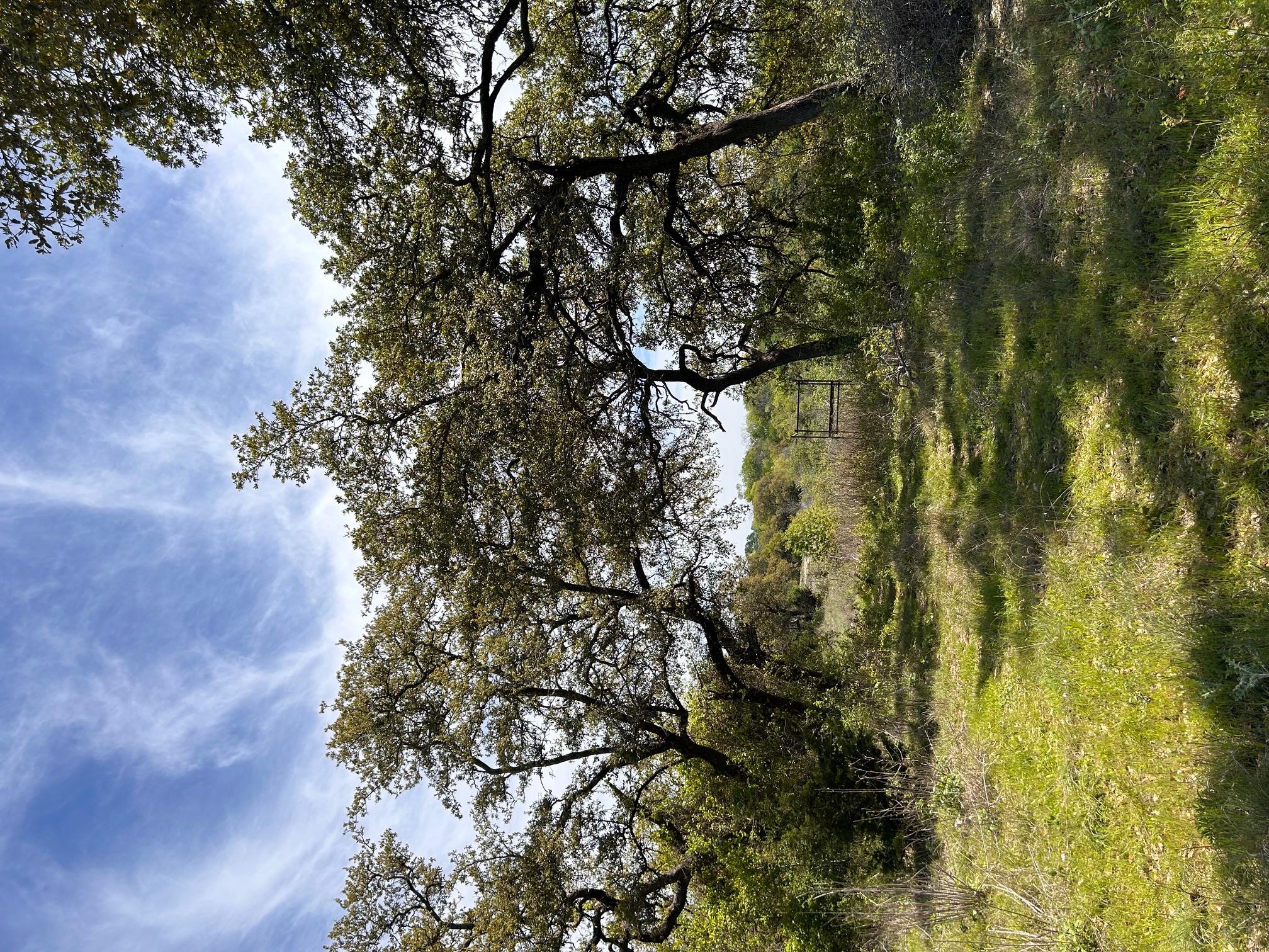 8202 Sparta Rd, Belton, TX 76513