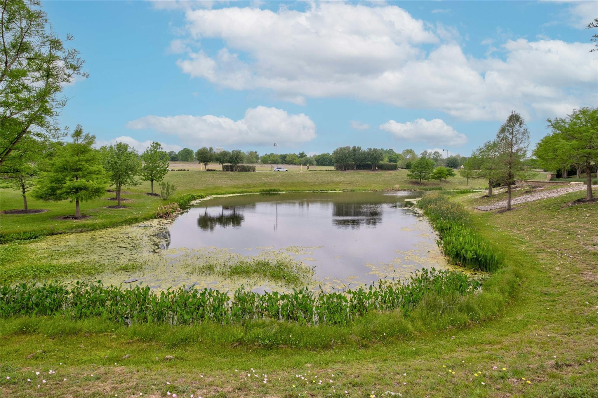 123 Pine Bark Dr, Buda, TX 78610